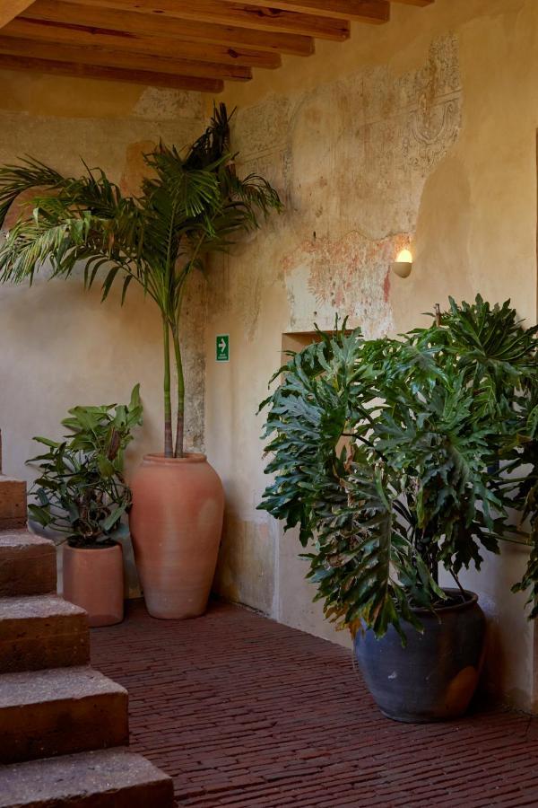 Hotel Escondido Oaxaca, A Member Of Design Hotels Dış mekan fotoğraf