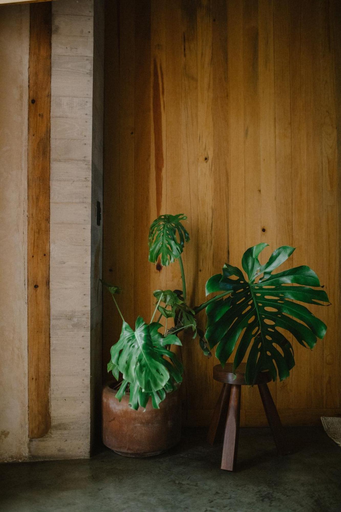 Hotel Escondido Oaxaca, A Member Of Design Hotels Dış mekan fotoğraf